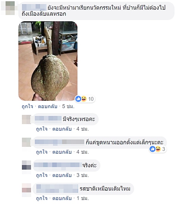 ทุเรียนไร้หนาม