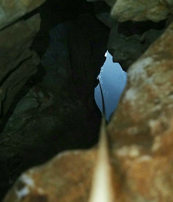 ทีมเก็บรังนกเกาะลิบง