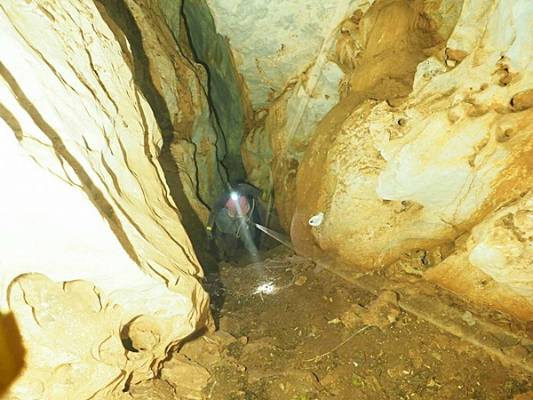 ทีมเก็บรังนกเกาะลิบง