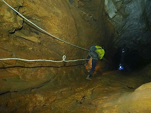 ทีมเก็บรังนกเกาะลิบง