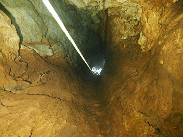 ทีมเก็บรังนกเกาะลิบง