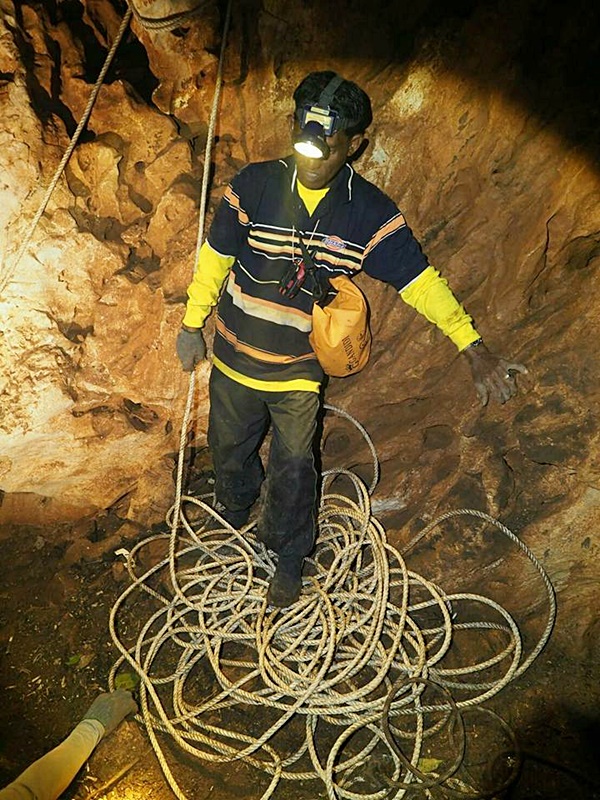 ทีมเก็บรังนกเกาะลิบง