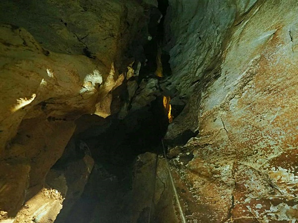 ทีมเก็บรังนกเกาะลิบง