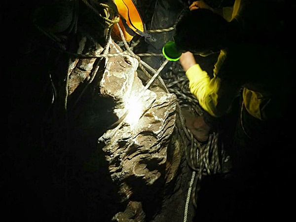 ทีมเก็บรังนกเกาะลิบง