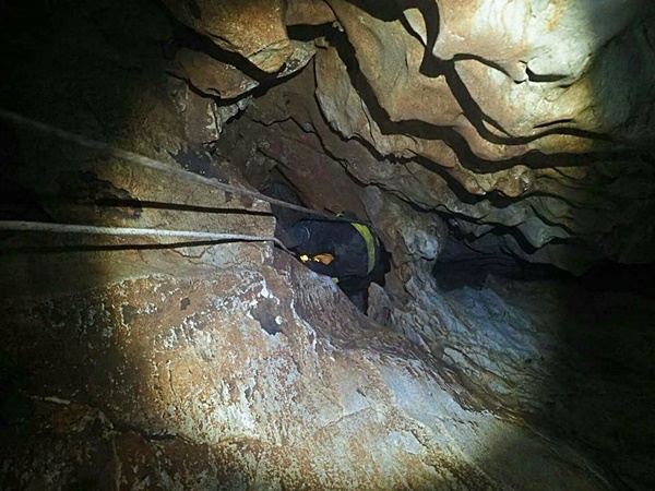 ทีมเก็บรังนกเกาะลิบง