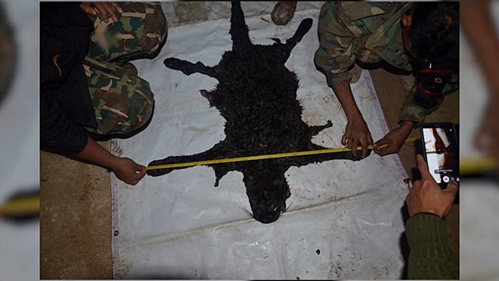 เปรมชัย เสือดำ