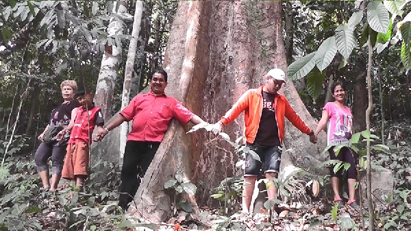 ต้นทุเรียนยักษ์