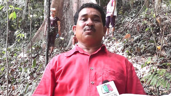 ต้นทุเรียนยักษ์