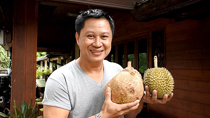 ทุเรียนไร้หนาม