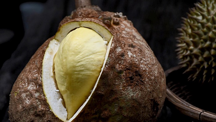 ทุเรียนไร้หนาม