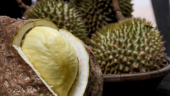 ทุเรียนไร้หนาม