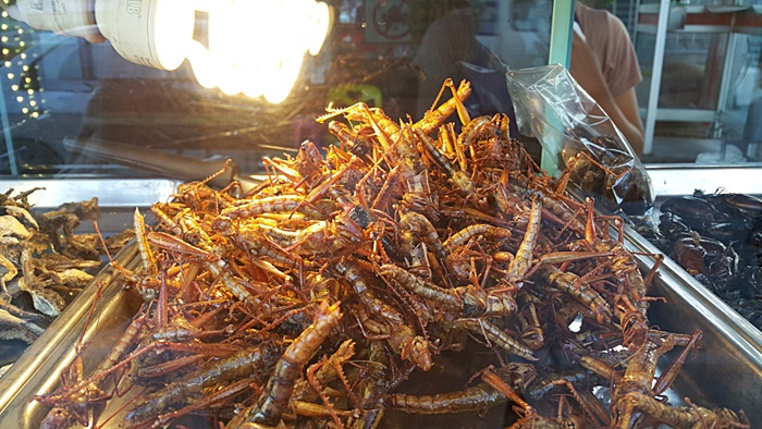 เมนูแปลก