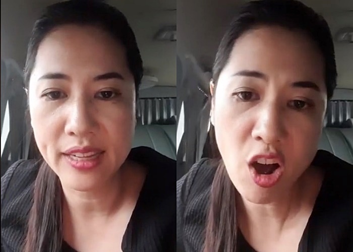 ช่อ พรรณิการ์ วานิช 