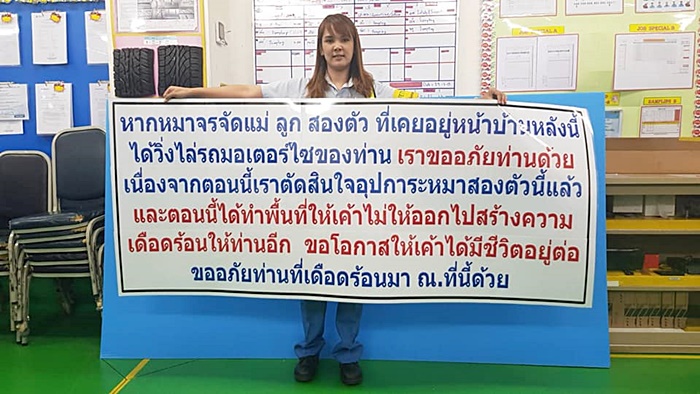 หมาจรจัด