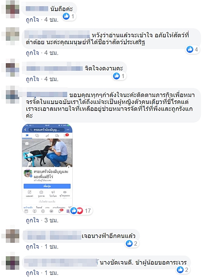 หมาจรจัด