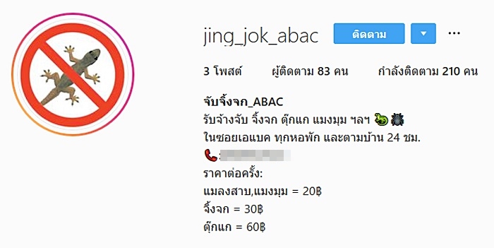 รับจ้าง จับจิ้งจก-แมลงสาบ