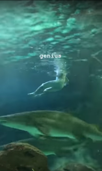 วัยรุ่นคึกคะนอง