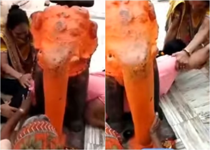 ลอดท้องช้าง