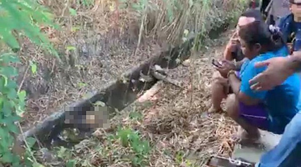 น้องภาคิน 