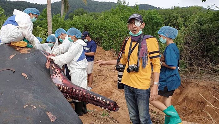 ซาก วาฬหัวทุย 