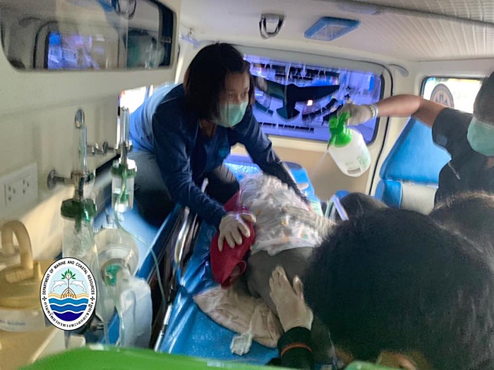 ผลการชันสูตร ยามีล