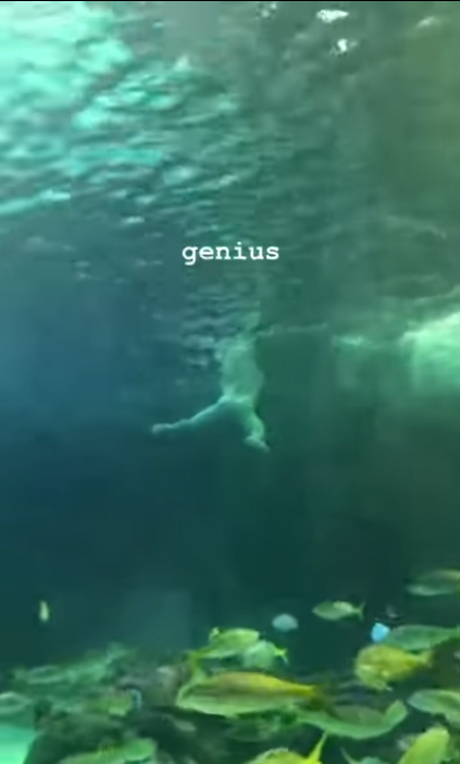 วัยรุ่นคึกคะนอง