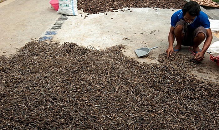 ข้าวหน้าจิ้งจกย่าง