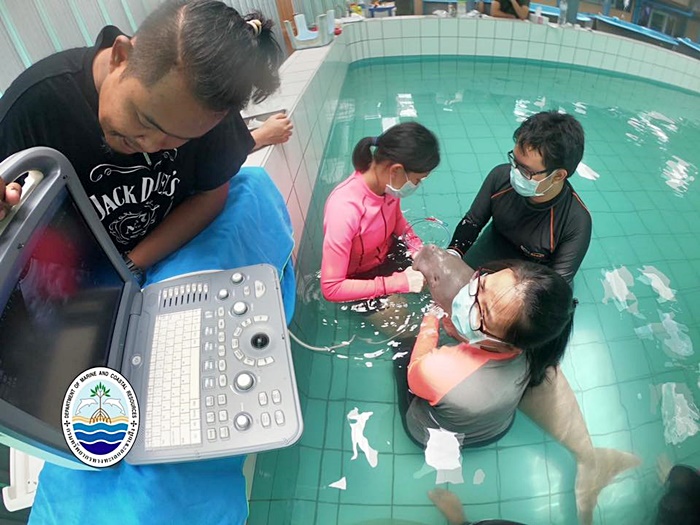 ผลการชันสูตร ยามีล