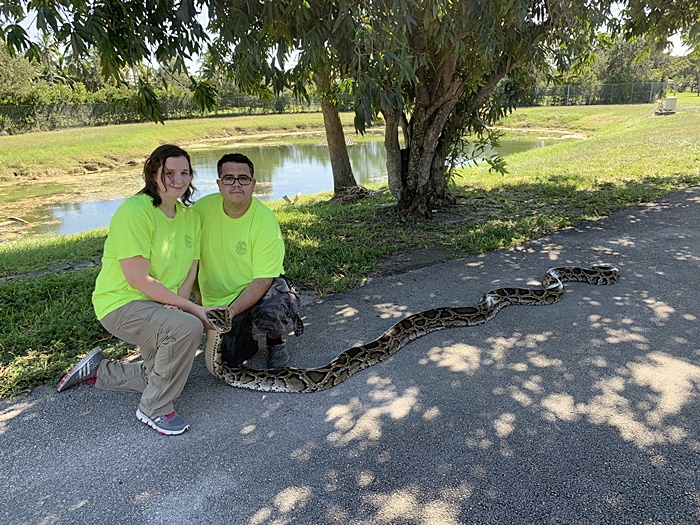 งูเหลือมไซซ์บิ๊ก 5.59 เมตร