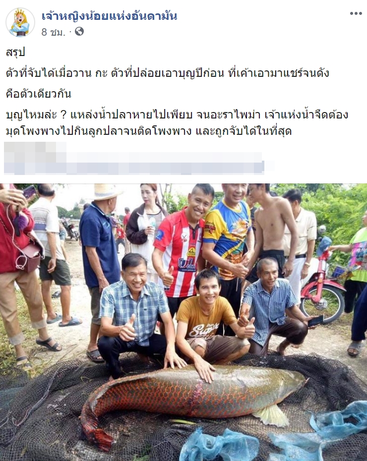 ปลาช่อนอเมซอน 