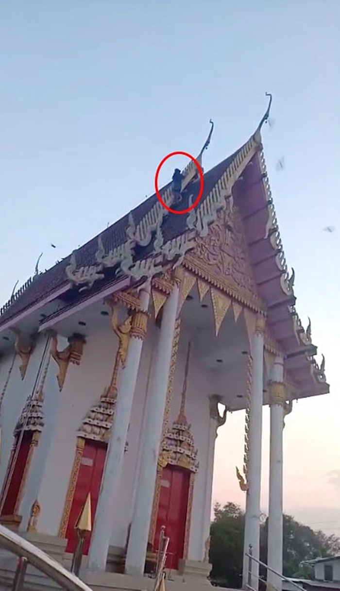 ปีนหลังคาโบสถ์