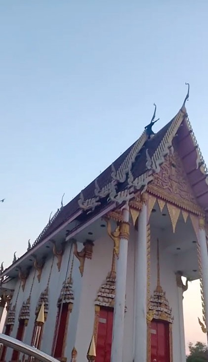 ปีนหลังคาโบสถ์