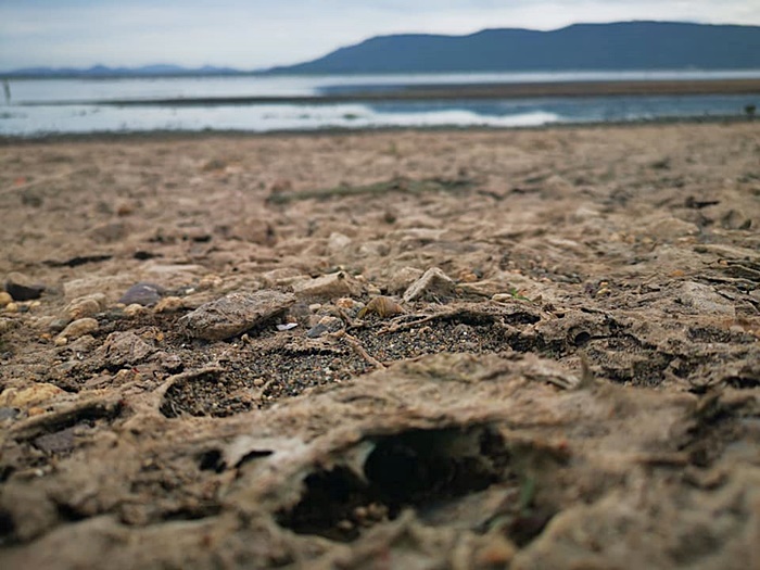 ภัยแล้ง