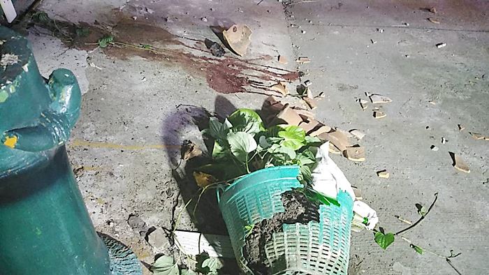 ฆ่าคนงานบ้าน แจ๊ส ชวนชื่น