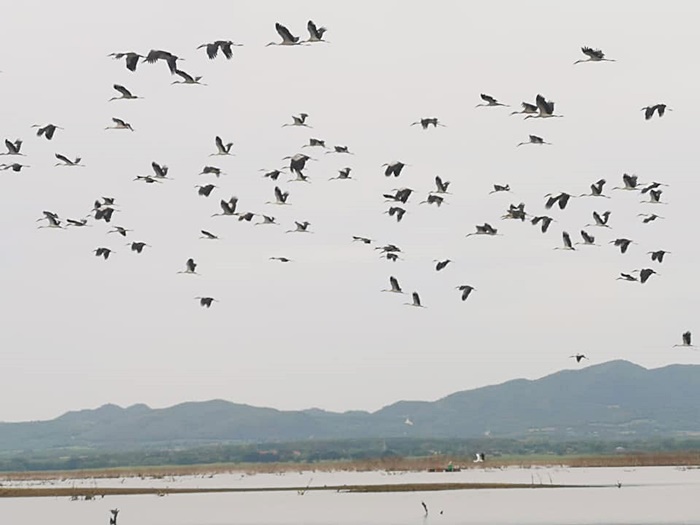 ภัยแล้ง