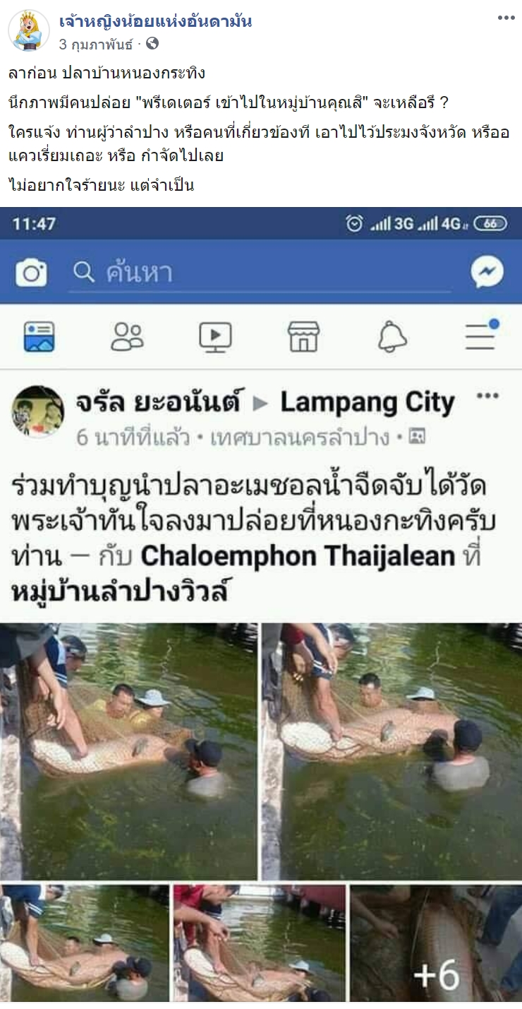 ปลาช่อนอเมซอน 