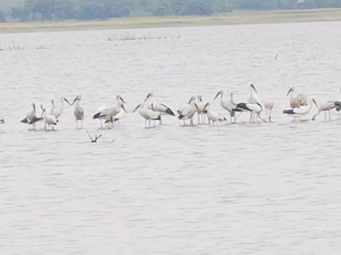 ภัยแล้ง