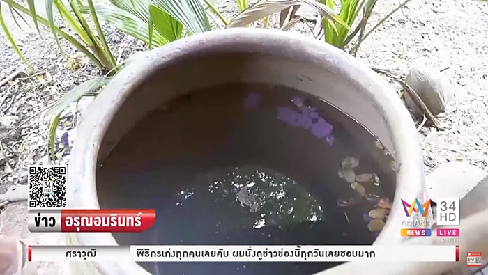 วางยาฆ่าแมลง