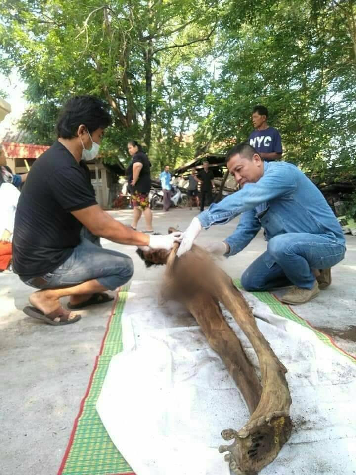 ศพไม่เน่า