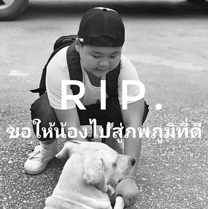 น้องชานนท์  ไข้เลือดออก