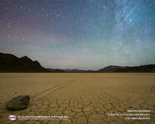 ฝนดาวตกเพอร์เซอิดส์