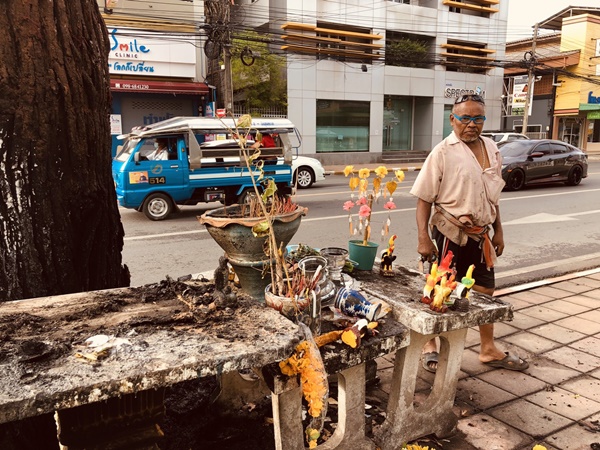 ไฟไหม้ต้นพะยอม อายุ 100 ปี