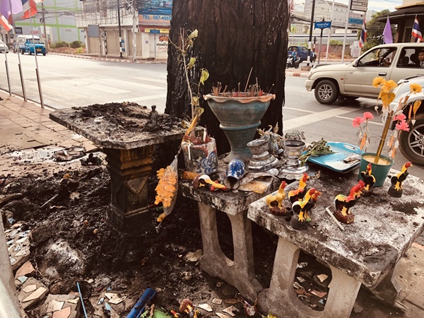 ไฟไหม้ต้นพะยอม อายุ 100 ปี