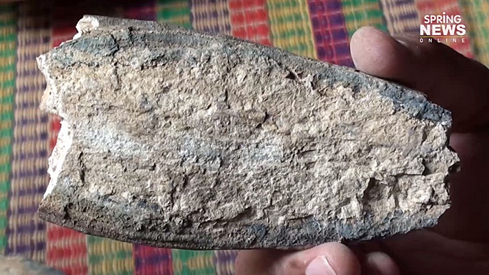 กระดูกช้างดึกดำบรรพ์