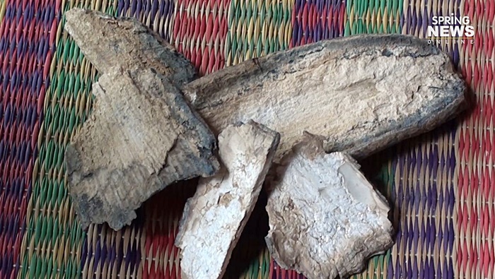 กระดูกช้างดึกดำบรรพ์