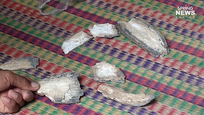 กระดูกช้างดึกดำบรรพ์