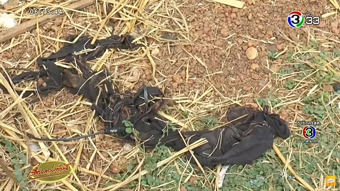 ย่างสดเมีย