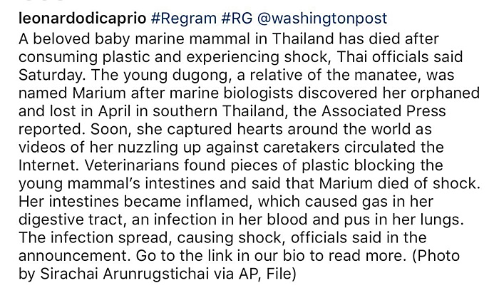 ลีโอนาร์โด ดีคาปริโอ พูดถึงการตาย มาเรียม