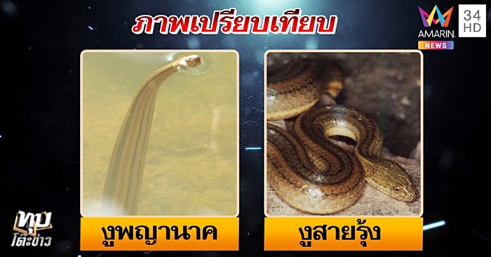 พญานาค
