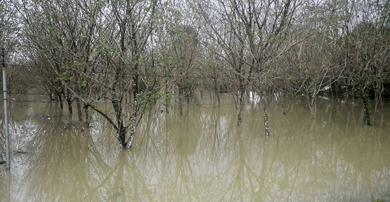 น้ำท่วม